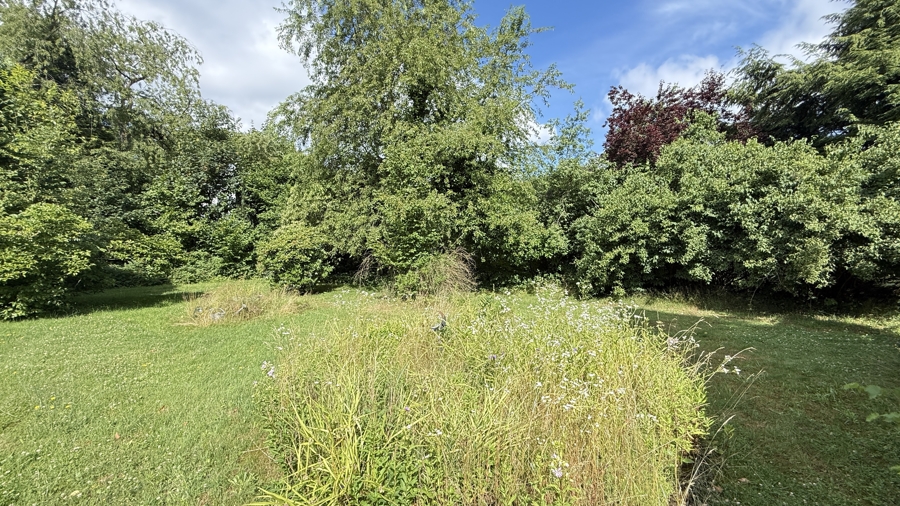 Bild 15